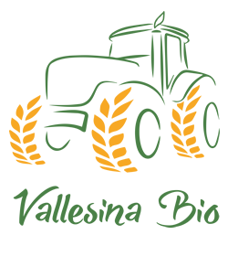 Vallesina Bio